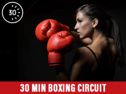 30 Min Boxing Circuit at Mick's Gym Melton